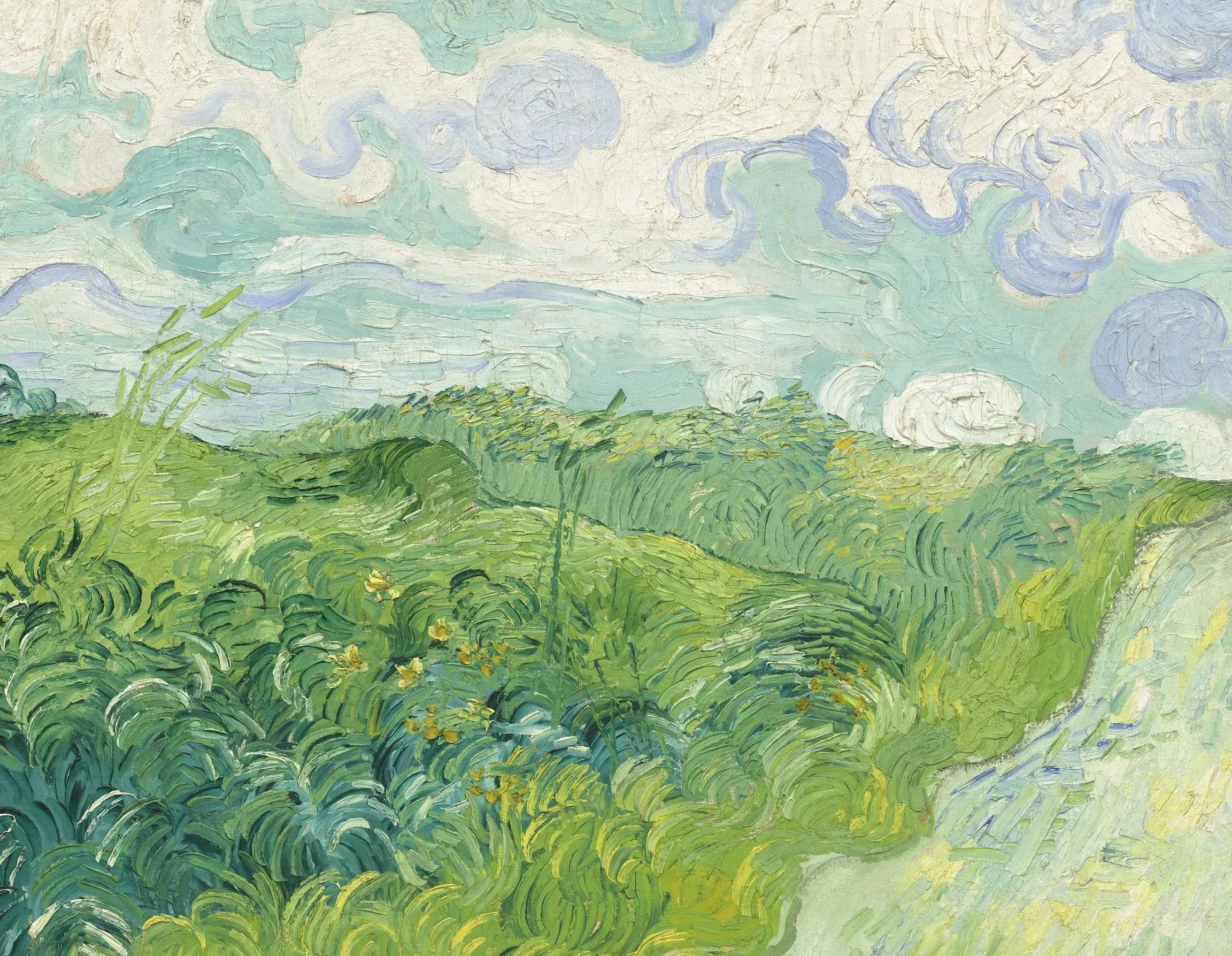 Vincent van Gogh, Green Wheat Fields, Auvers, 1890